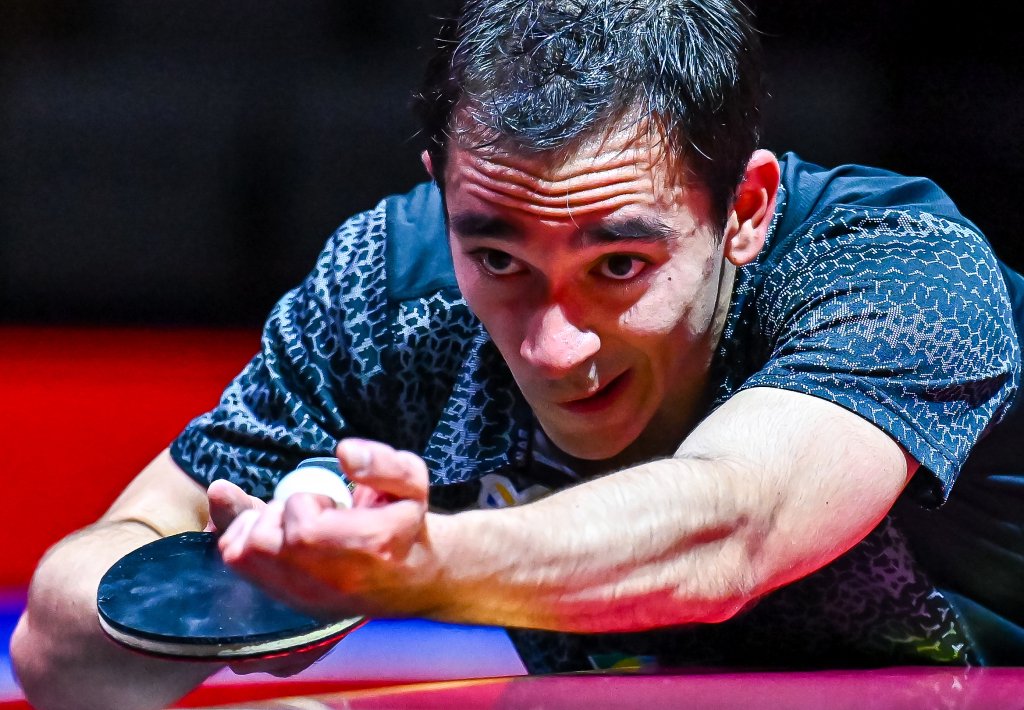 会了专注 会了专注